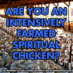 Are You An Intensively Farmed Spiritual Chicken?